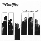 gadjits_shreddermag