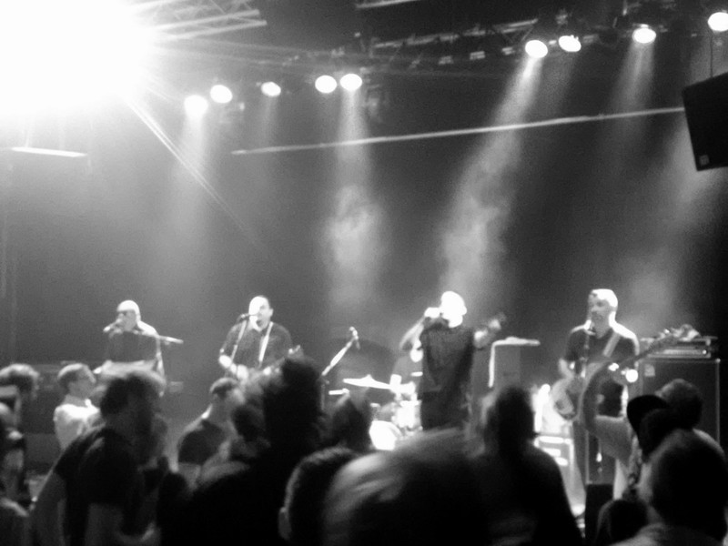 The Aggrolites_shreddermag