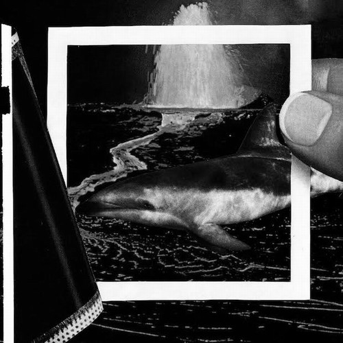 The Thermals - We Disappear_shreddermag